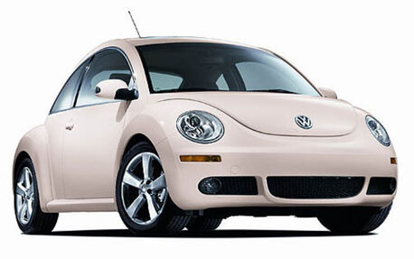 Volkswagen New Beetle, la coccinelle et le chat - Guide Auto