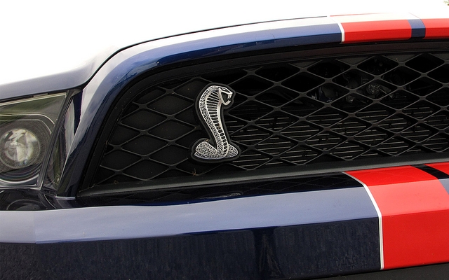 Le cobra emblématique des Shelby dans la calandre de la GT500