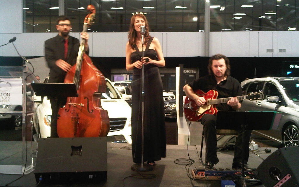 La soirée bénéfice était agrémentée par un excellent orchestre.