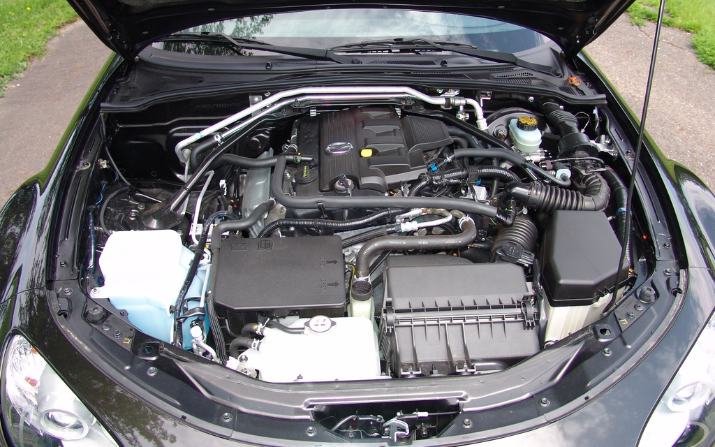 Four cylinders, 2.0 litres, 167 horses, 140 lbs-ft of torque.