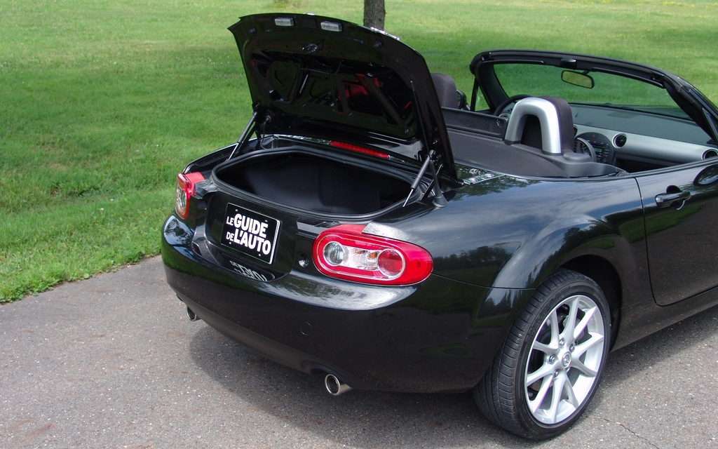 The trunk loading height is a tad high and the opening is too small.  