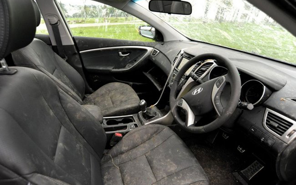 Hyundai i30 et ses amis babouins