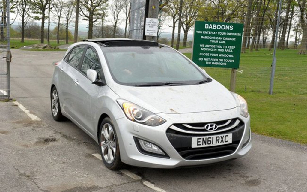 Hyundai i30 et ses amis babouins