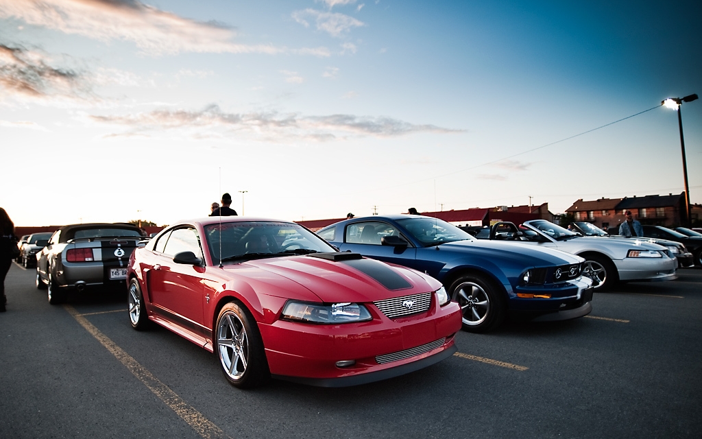 Réunion Mustang 2012