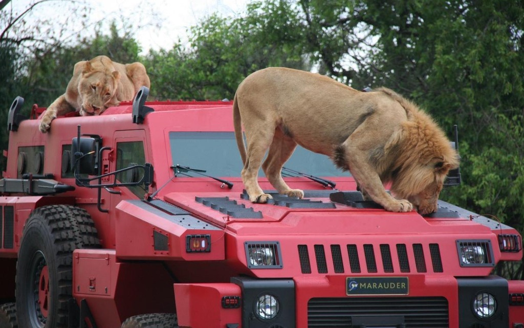 Photo: Top Gear (UK)