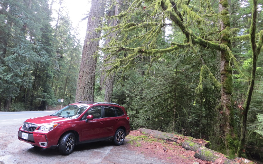 The 2014 Subaru Forester.