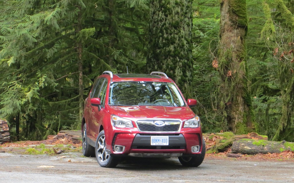 The 2014 Subaru Forester.