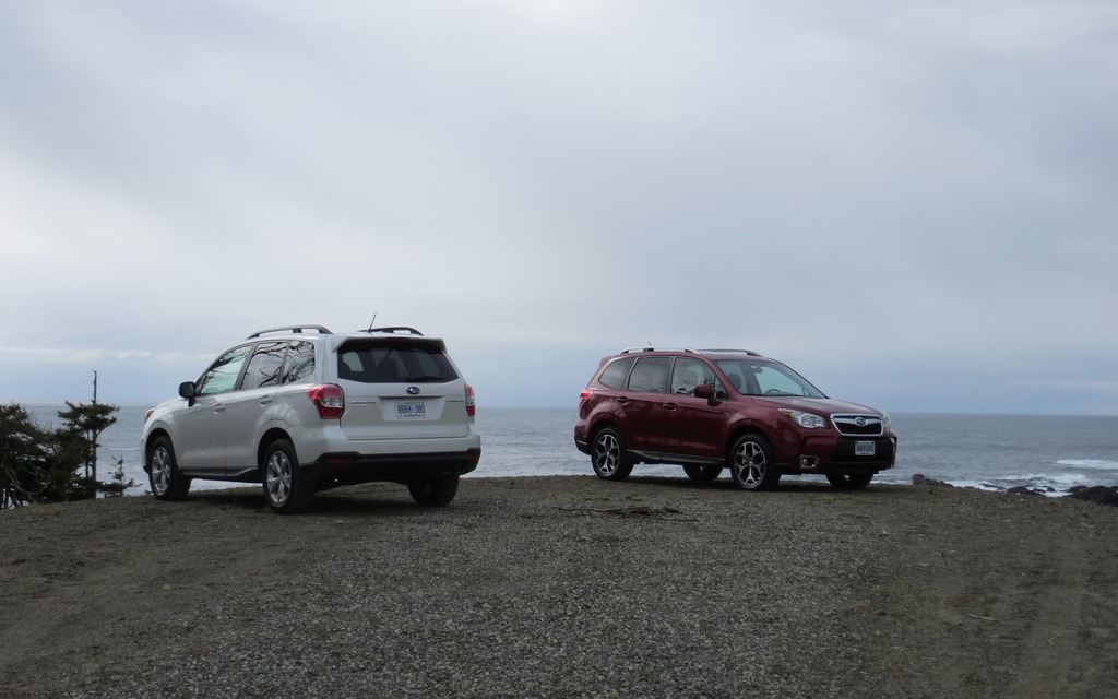 The 2014 Subaru Forester.