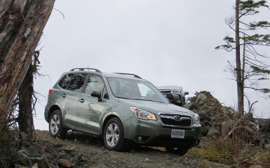 The 2014 Subaru Forester.