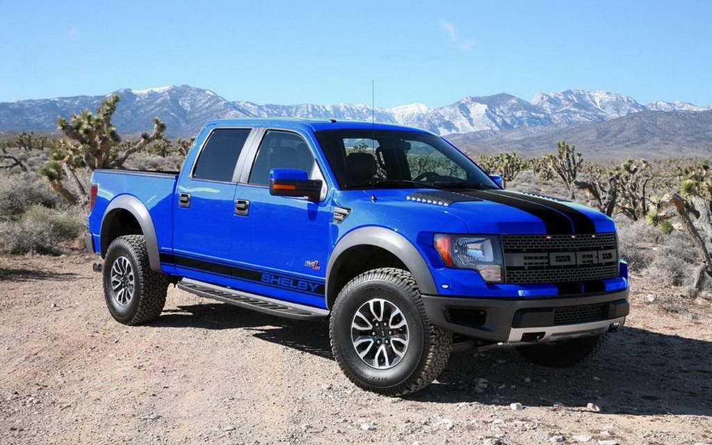 Shelby Raptor