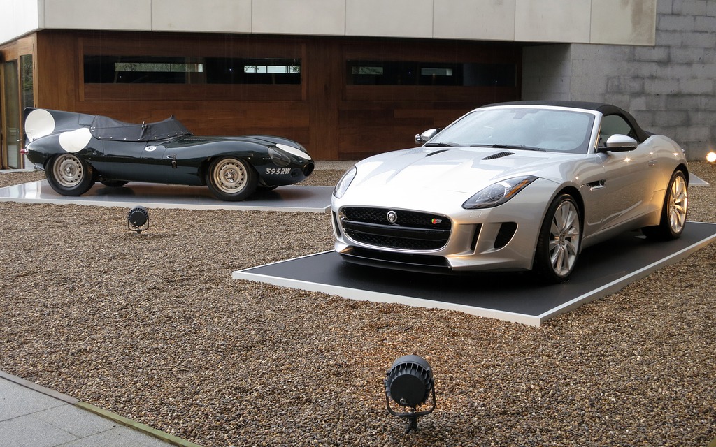  A D-Type poses with the new F-Type
