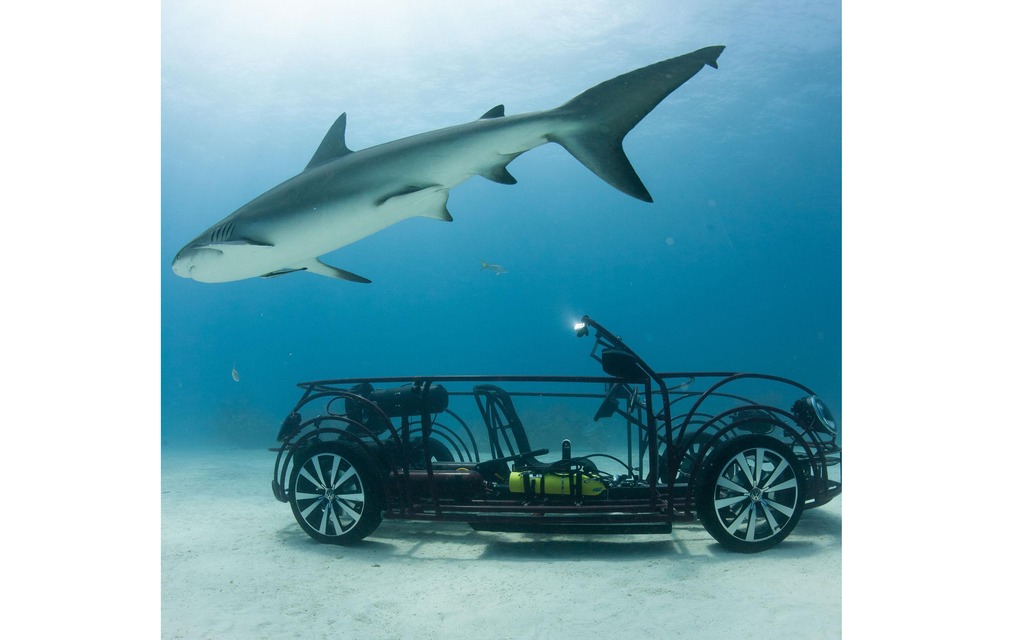 Volkswagen Beetle Convertible Shark Cage