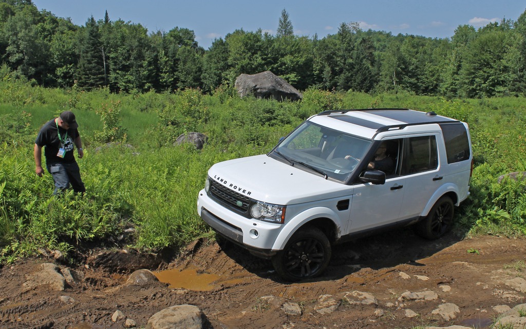  A romp in the mud!