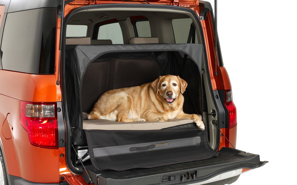 7 – Dog cage with cozy bed (Honda Element): An idea that doesn’t bite!