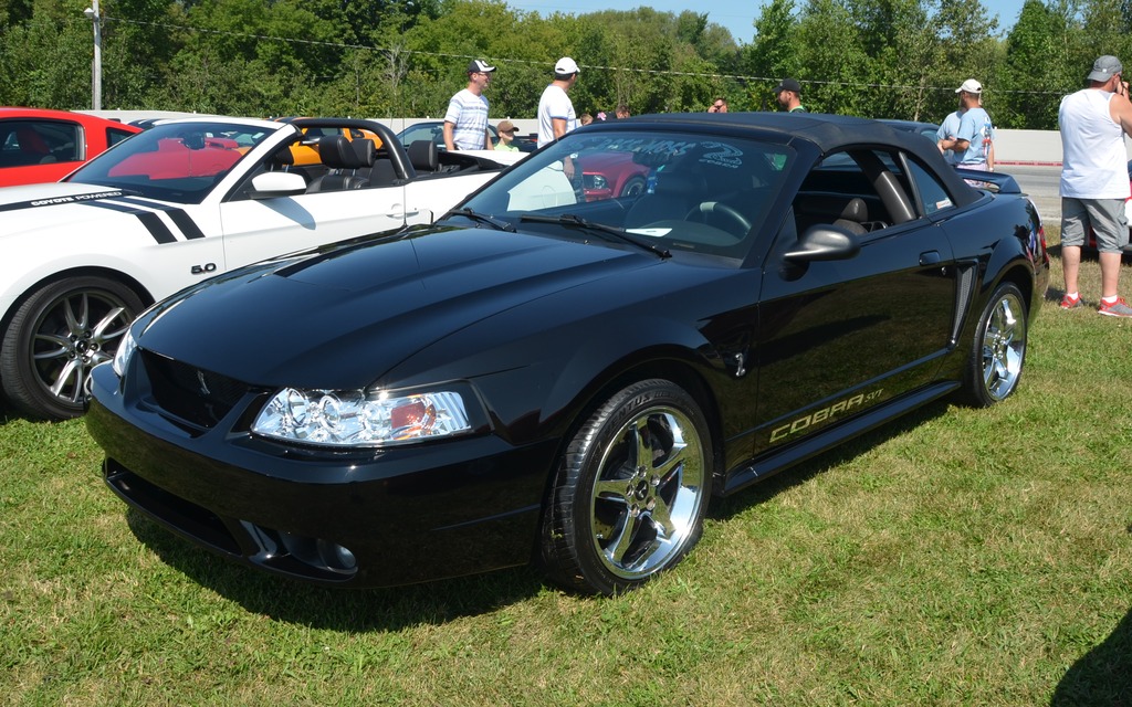 Mustang Cobra SVT 1999