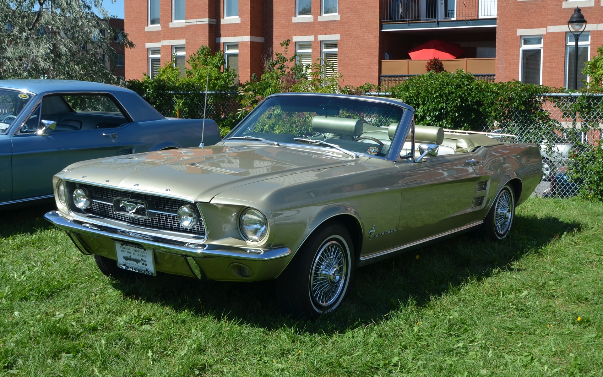La Mustang de Denis Lépine est d'une beauté, mais d'une beauté...