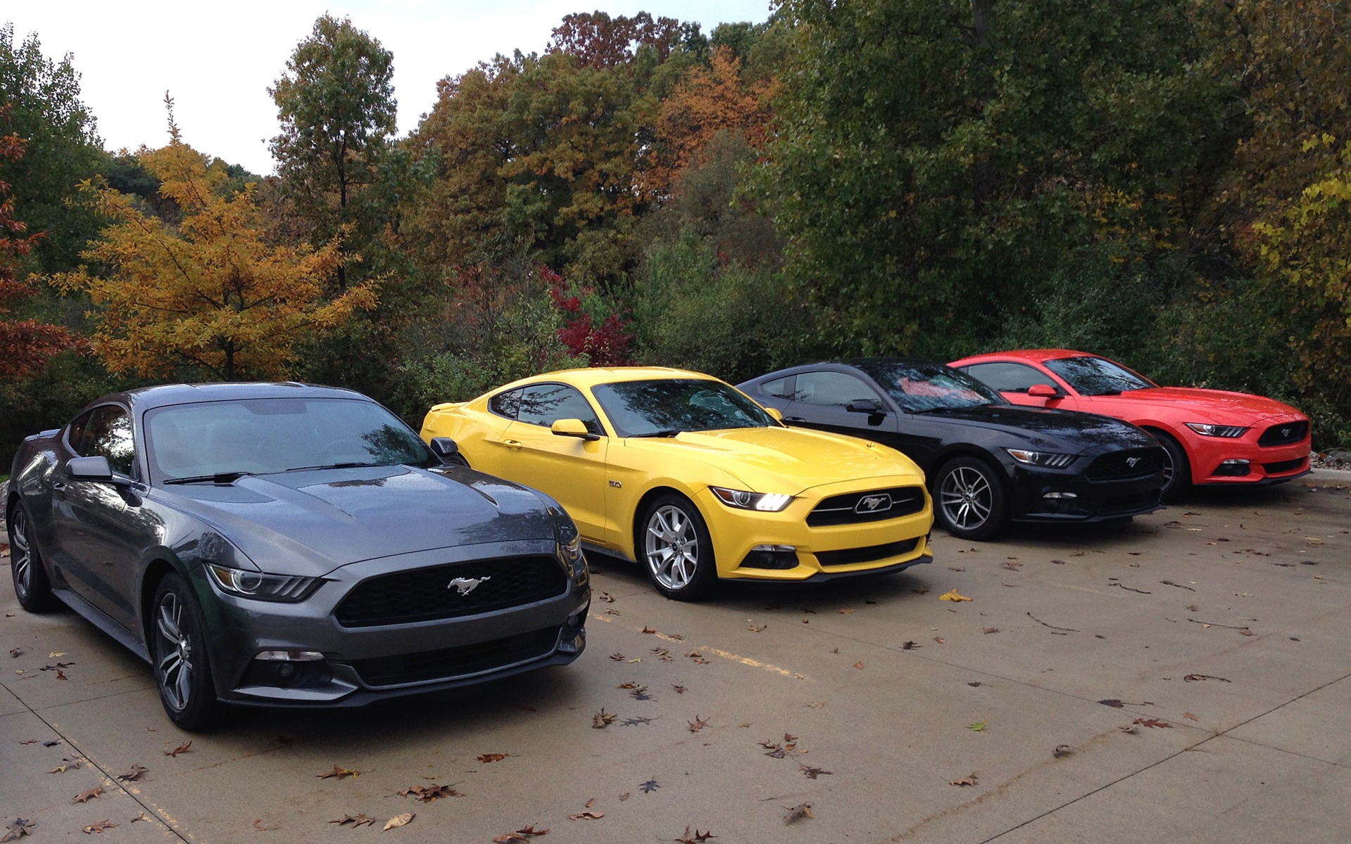 Quatre exemplaires de la nouvelle Mustang pour les essais des prix NACOTY