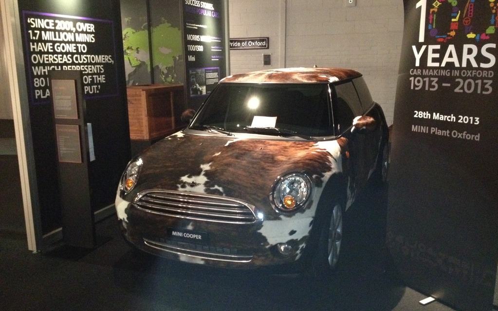 Believe it or not, this MINI is covered with cowhide! 