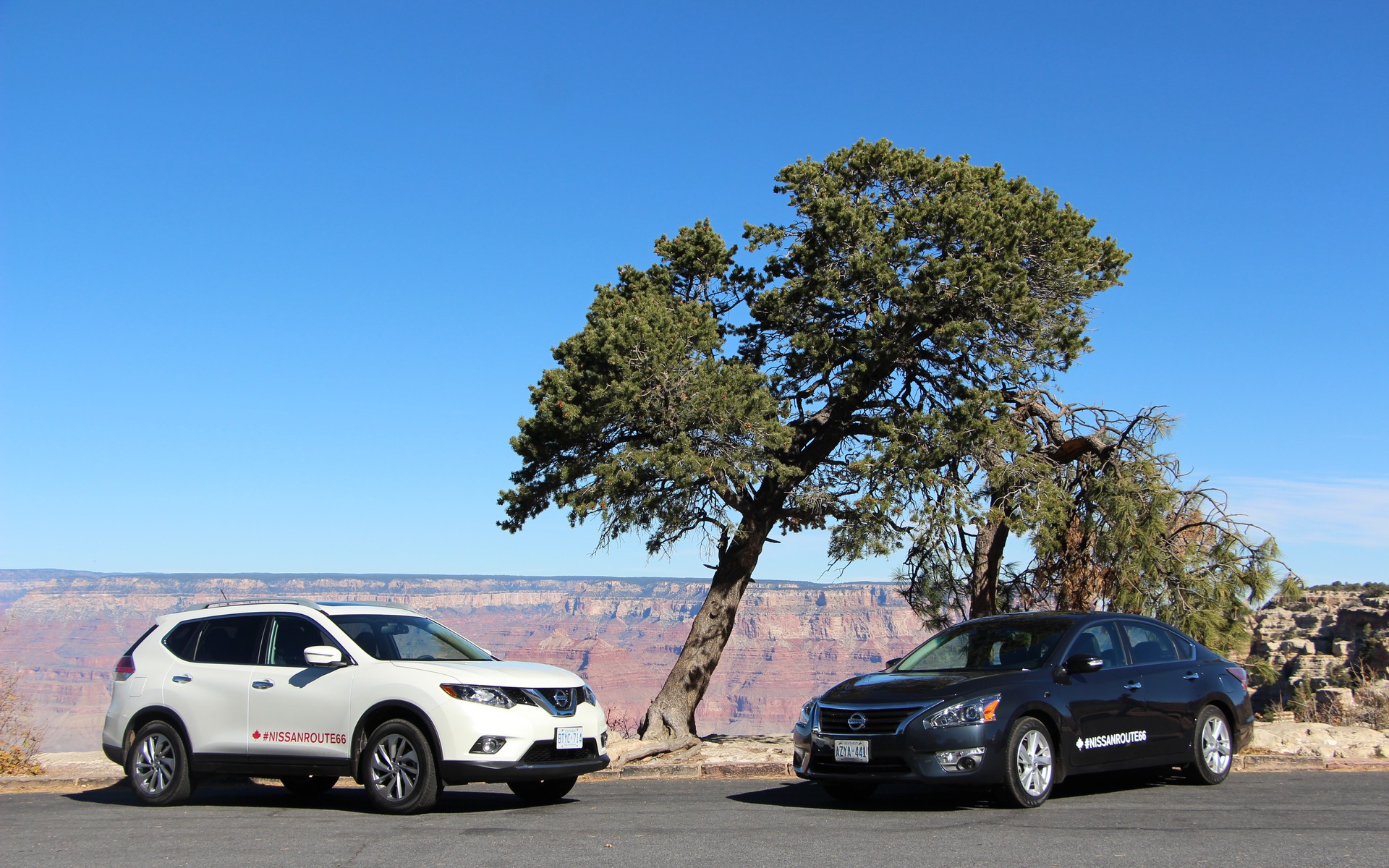 Un Nissan Rogue et une Altima devant le Grand Canyon.