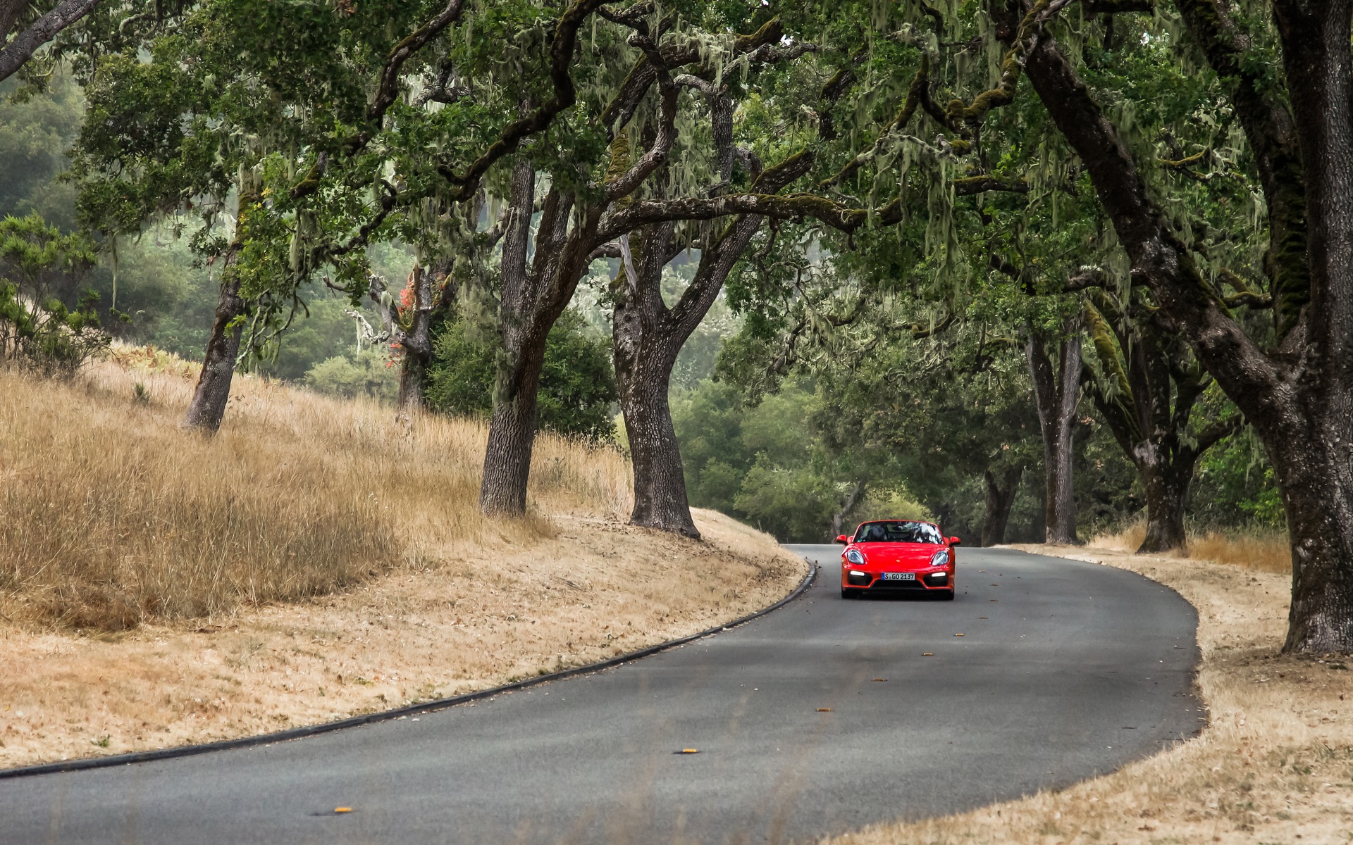 The car's mid-engine placement encourages more pivots than powerslides.