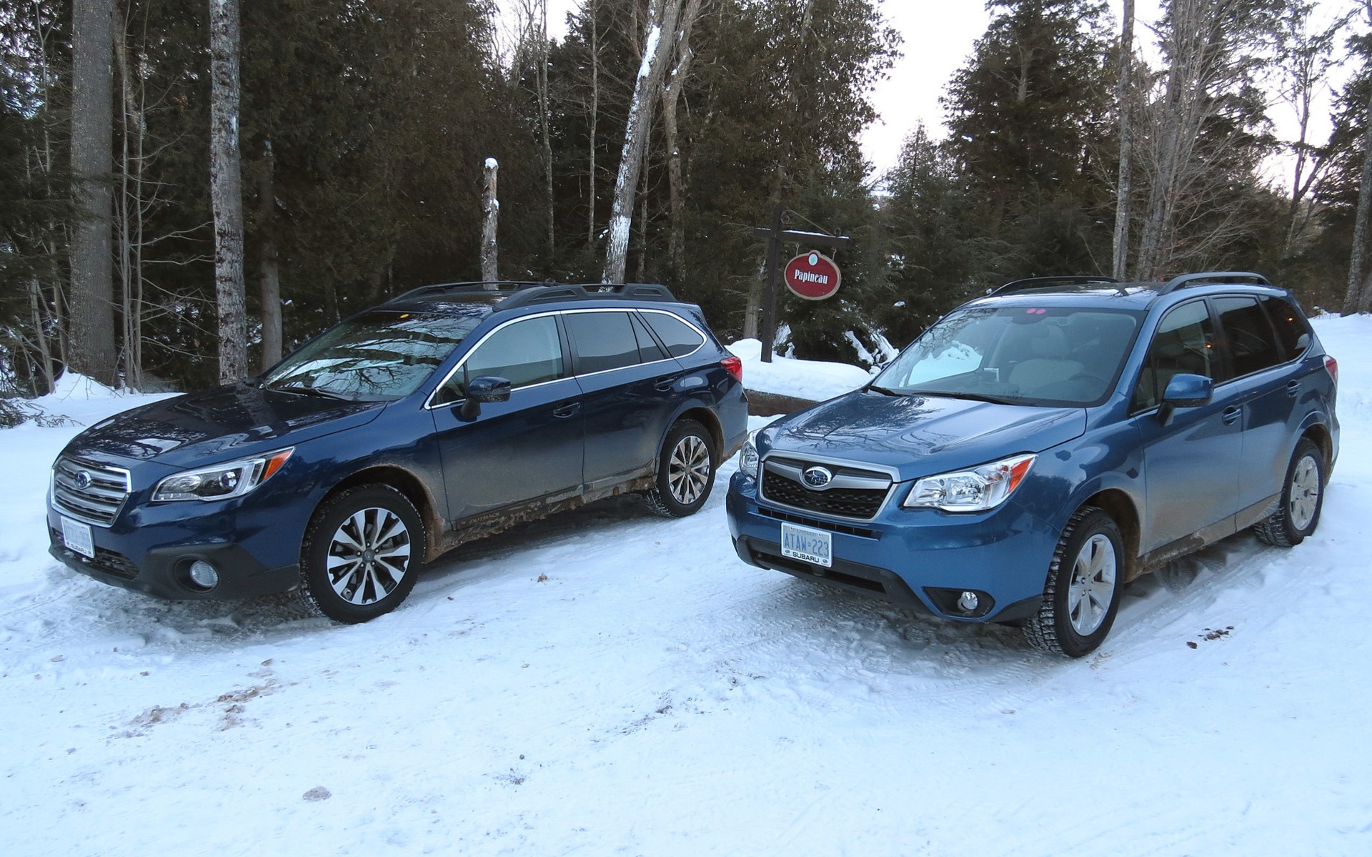 Outback et Forester au repos