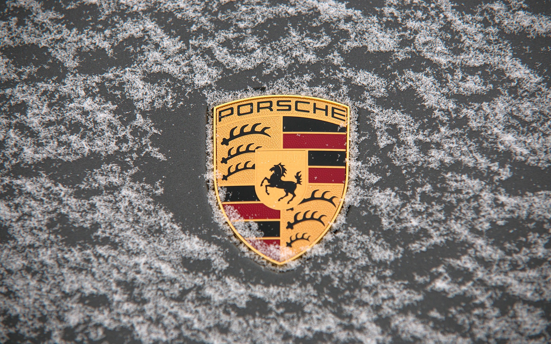 L'écusson Porsche avec une couche de neige fraîche à Mécaglisse