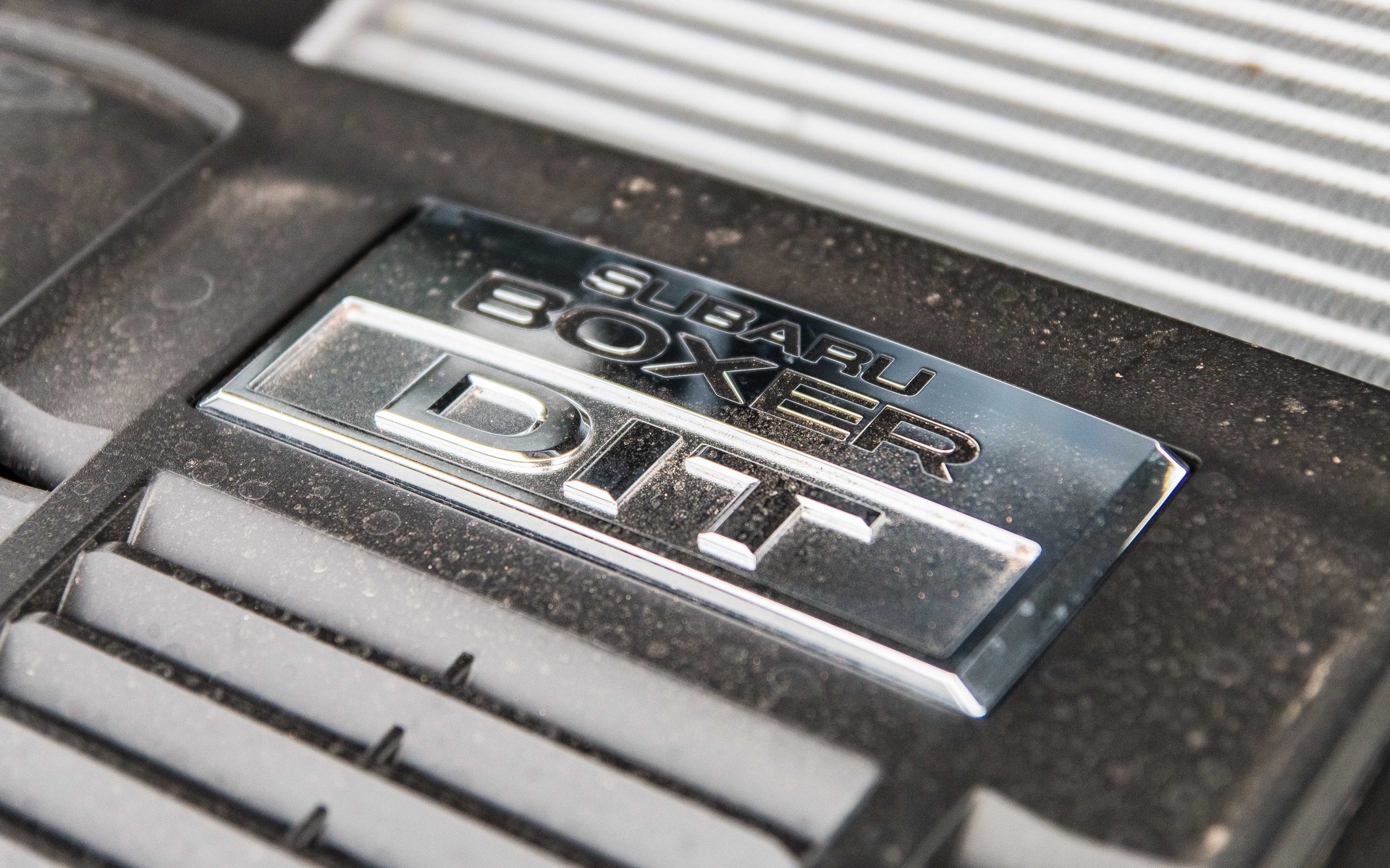 Photo: Marc-André Gauthier