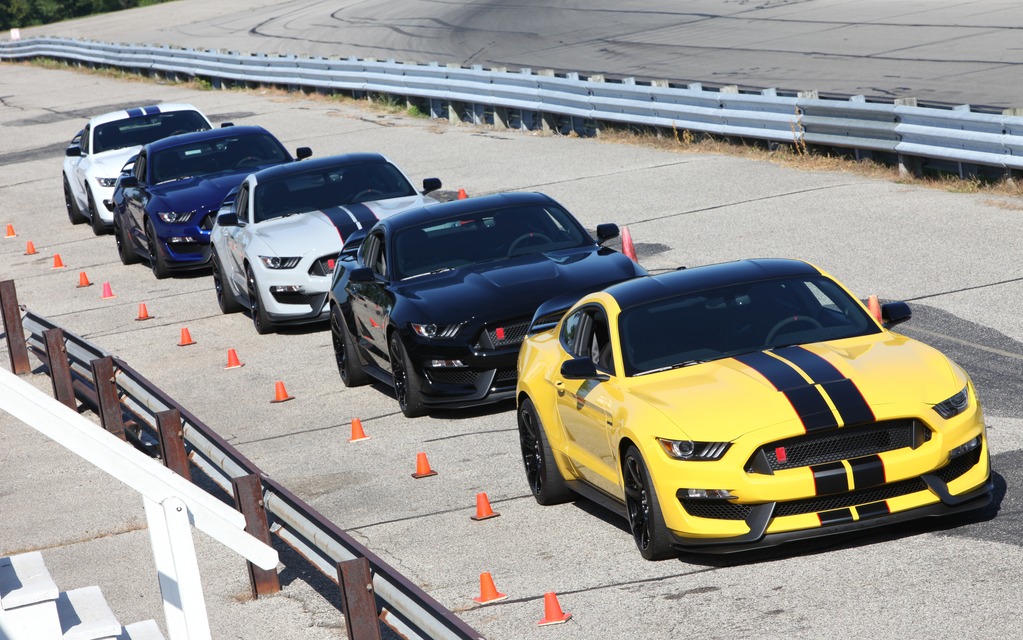 Ford Mustang Shelby GT350 and GT350R - Ready to attack the Grattan circuit.