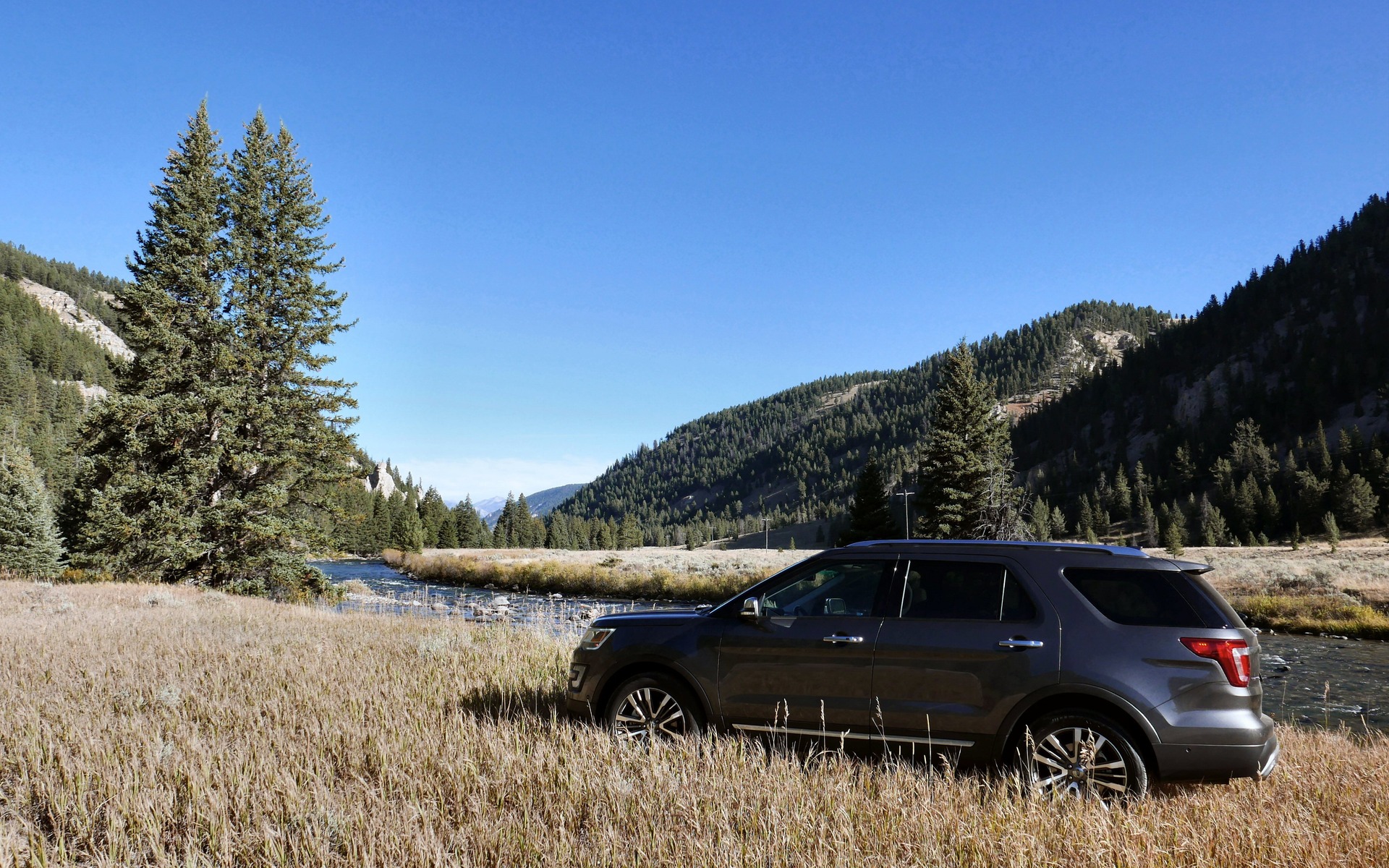 Much of Yellowstone demands to be more fully experienced.