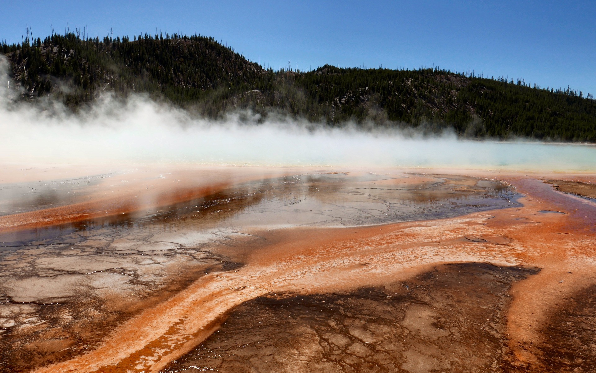 A bubbling geothermal soup underpins Yellowstone Park.