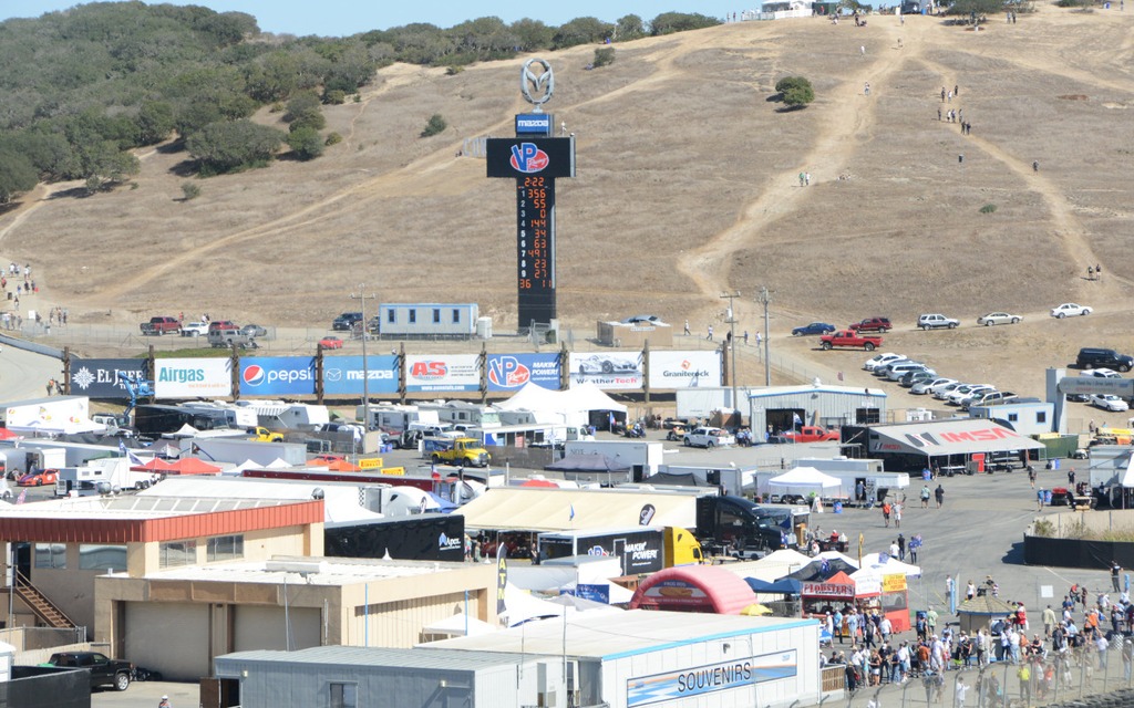 The paddock area