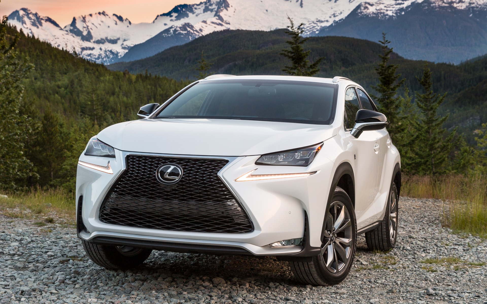 2016 Lexus NX 200t F SPORT