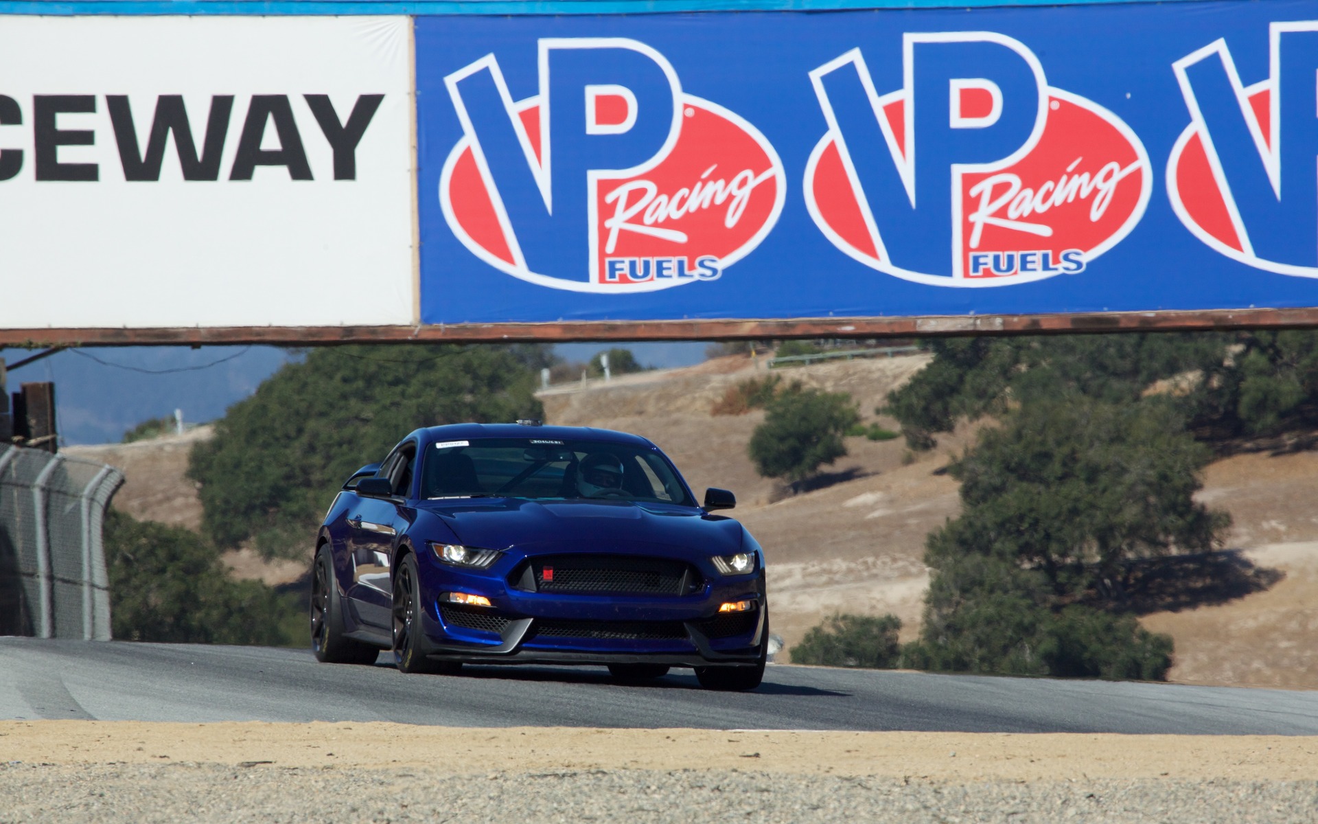 Ford Mustang Shelby GT350R - En action sur le circuit de Laguna Seca.