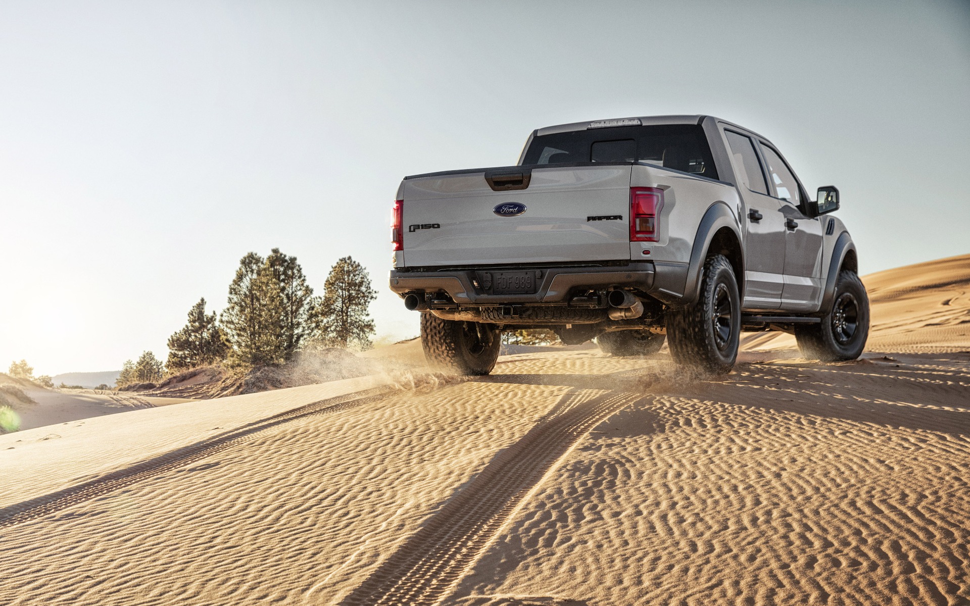 2017 Ford F-150 Raptor