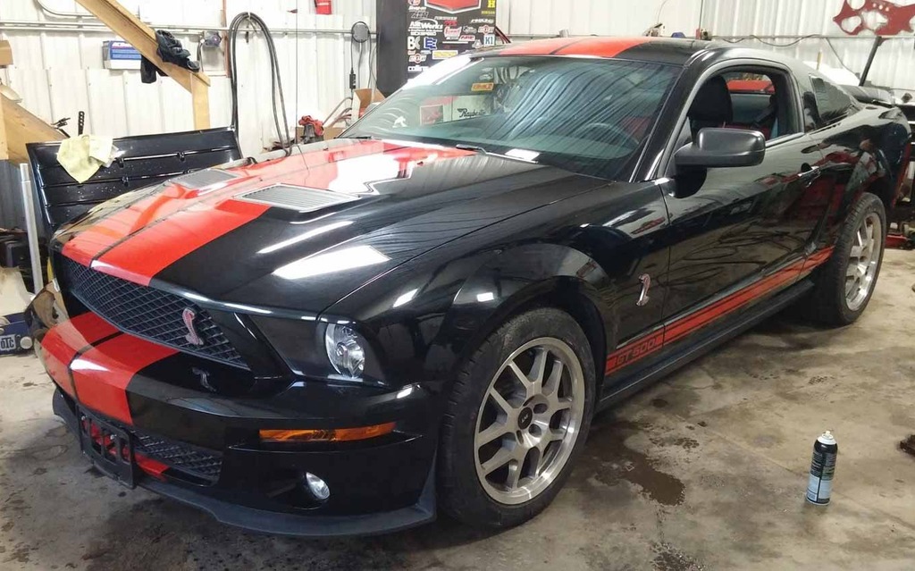 Le Cobra de Valérie Tremblay n'attend qu'un peu de chaleur...