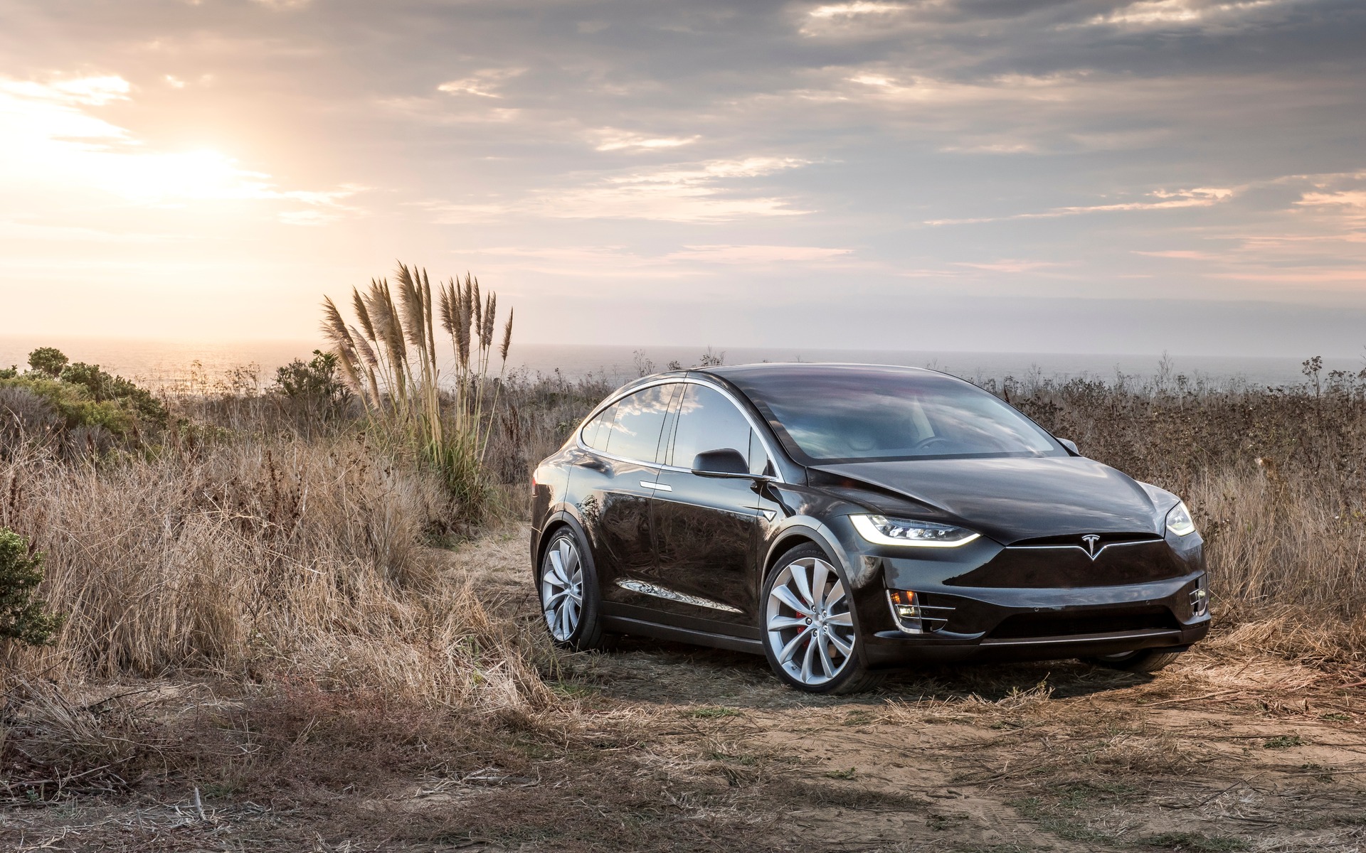 Blind vertrouwen grip Geleend A More Affordable Tesla Model X: Here is the 60D - The Car Guide