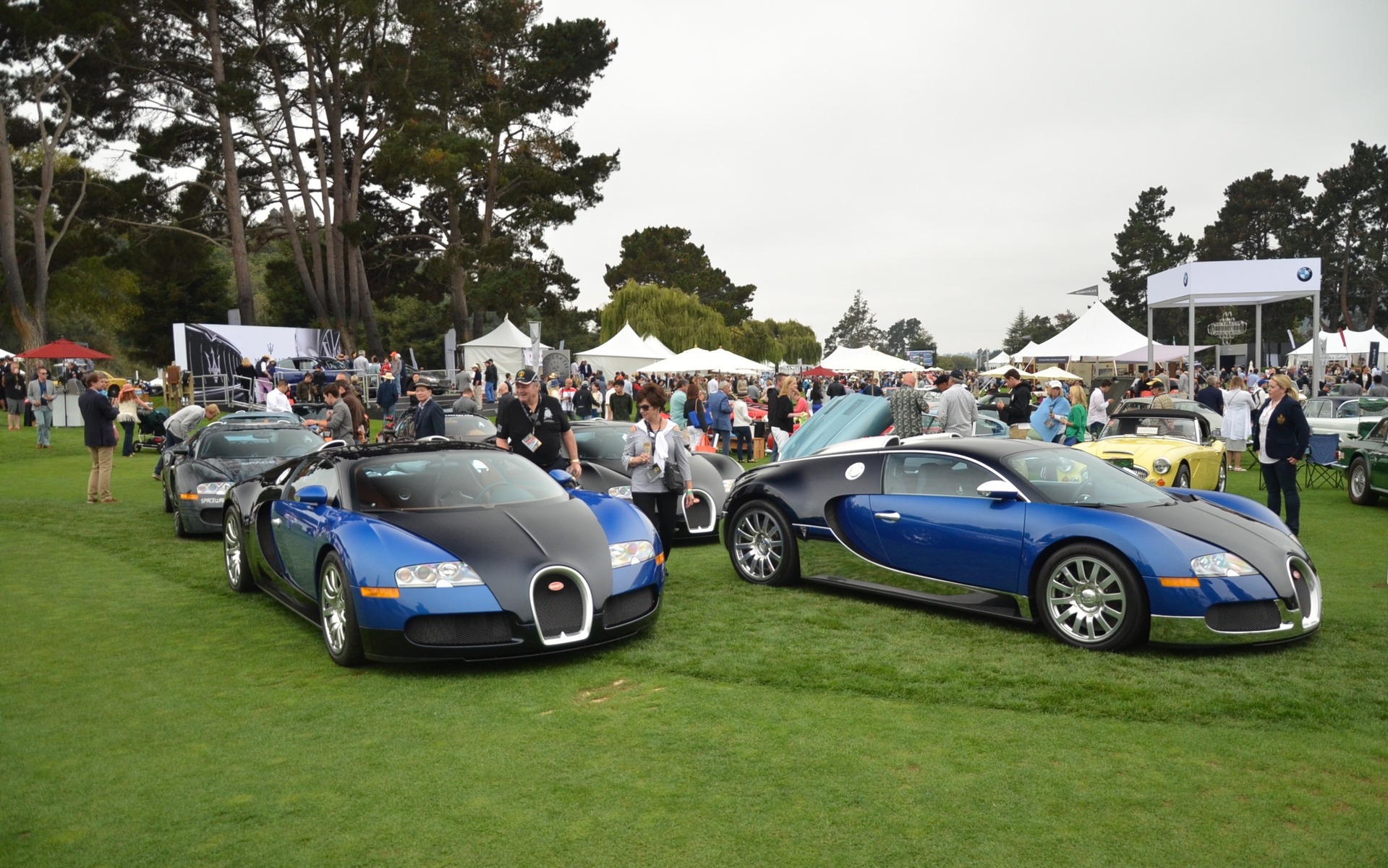 The Quail 2016 - Huit Bugatti Veyron