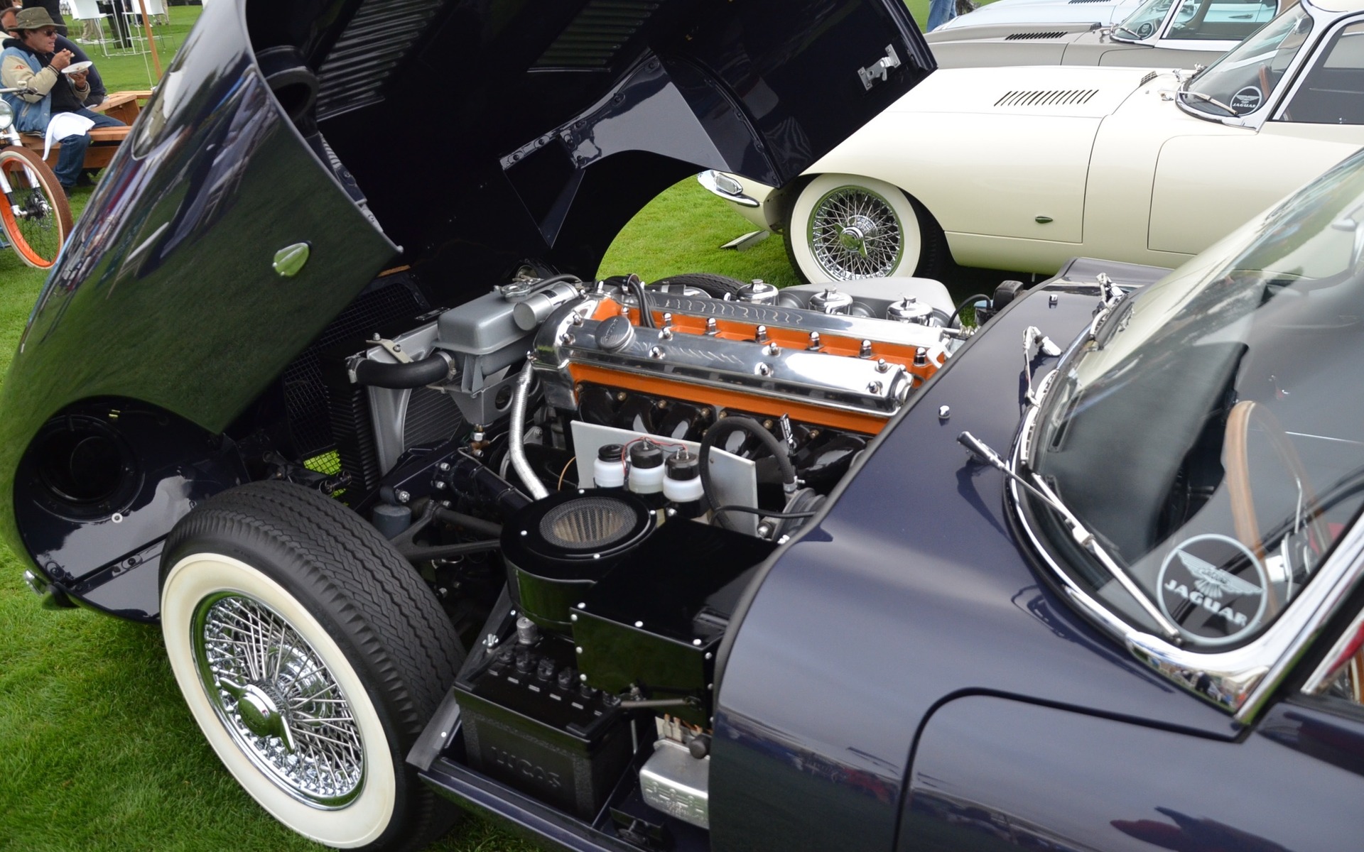 The Quail 2016 - Jaguar E-Type