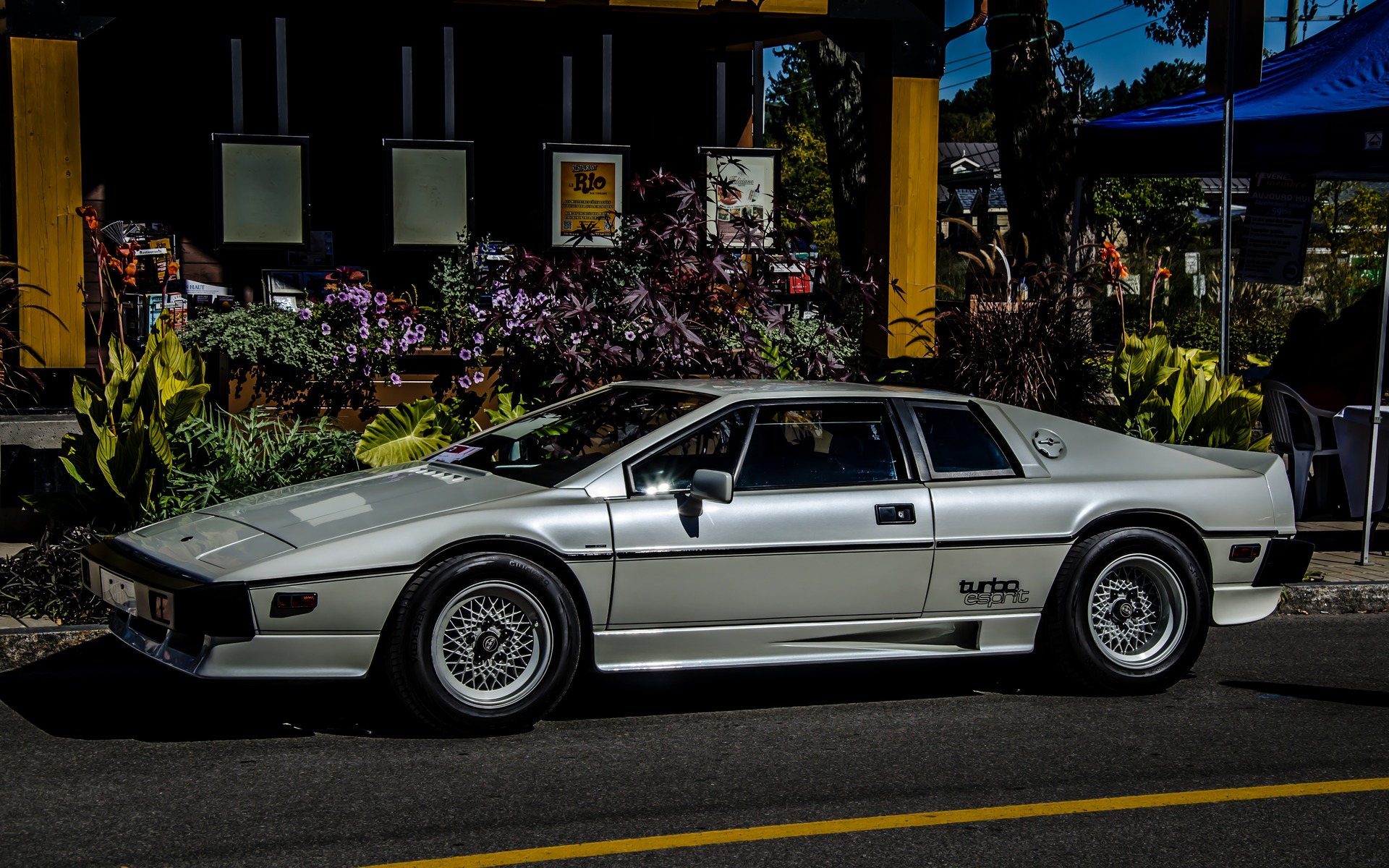 Photo: Laita Photography