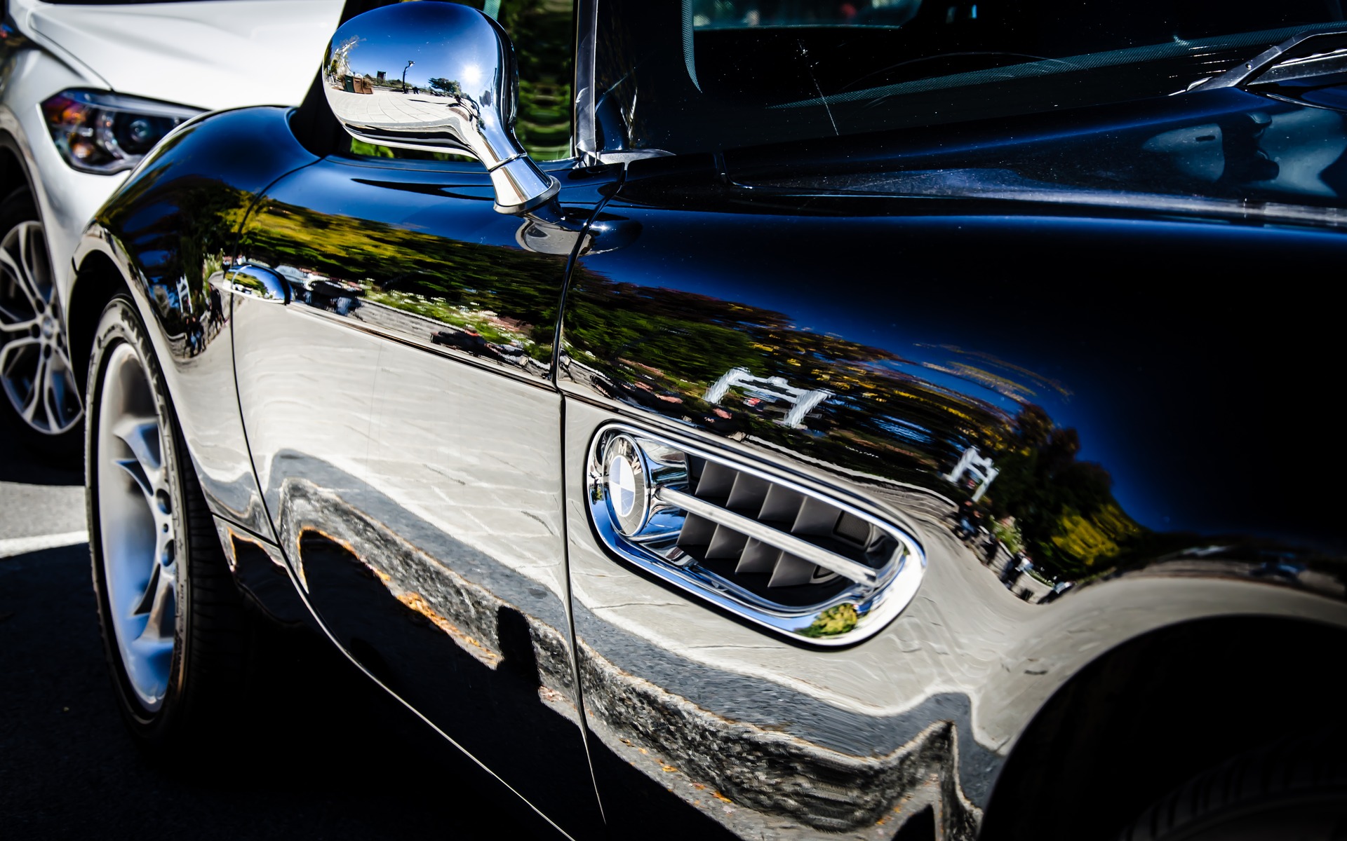 Photo: Laita Photography