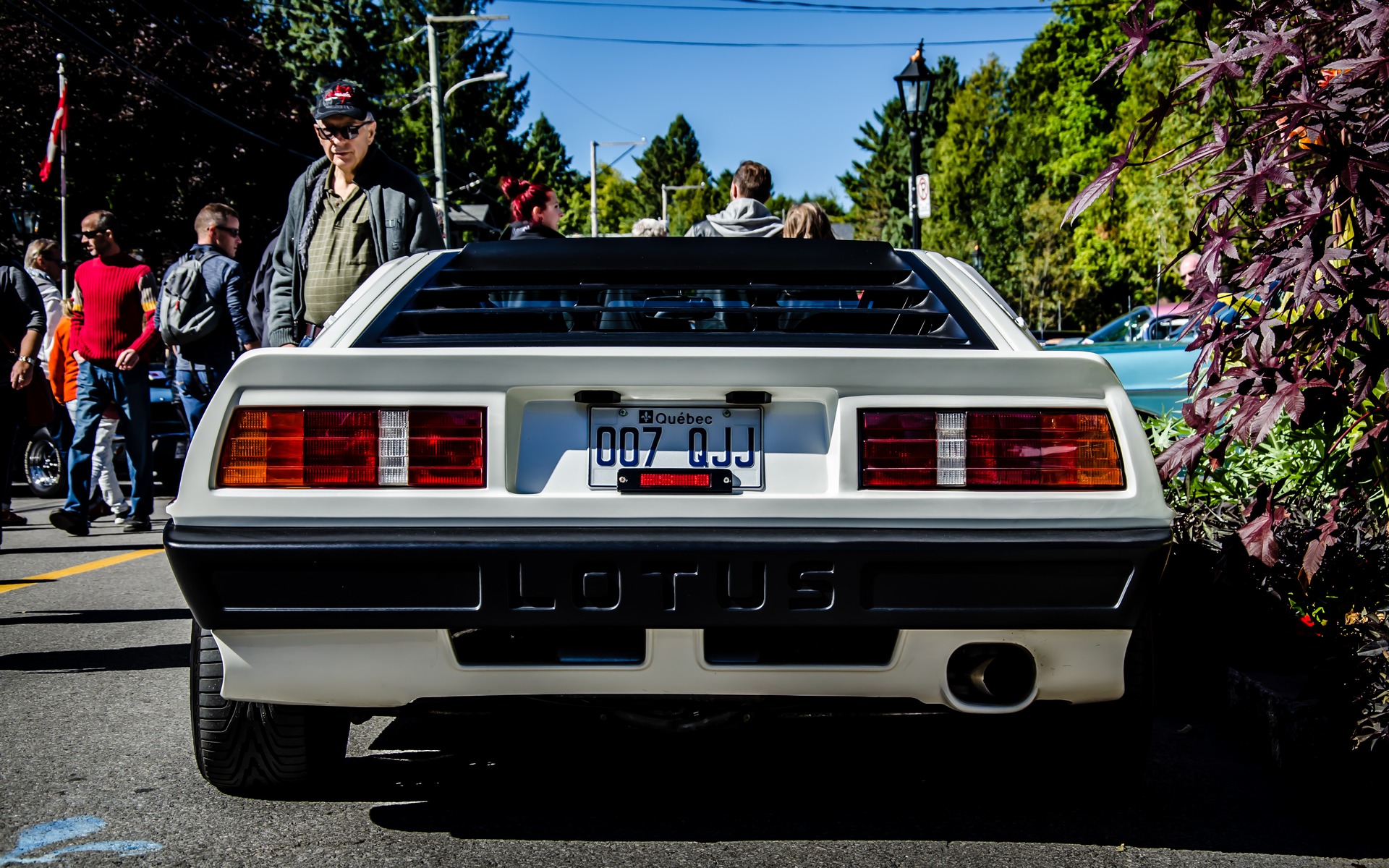 Photo: Laita Photography