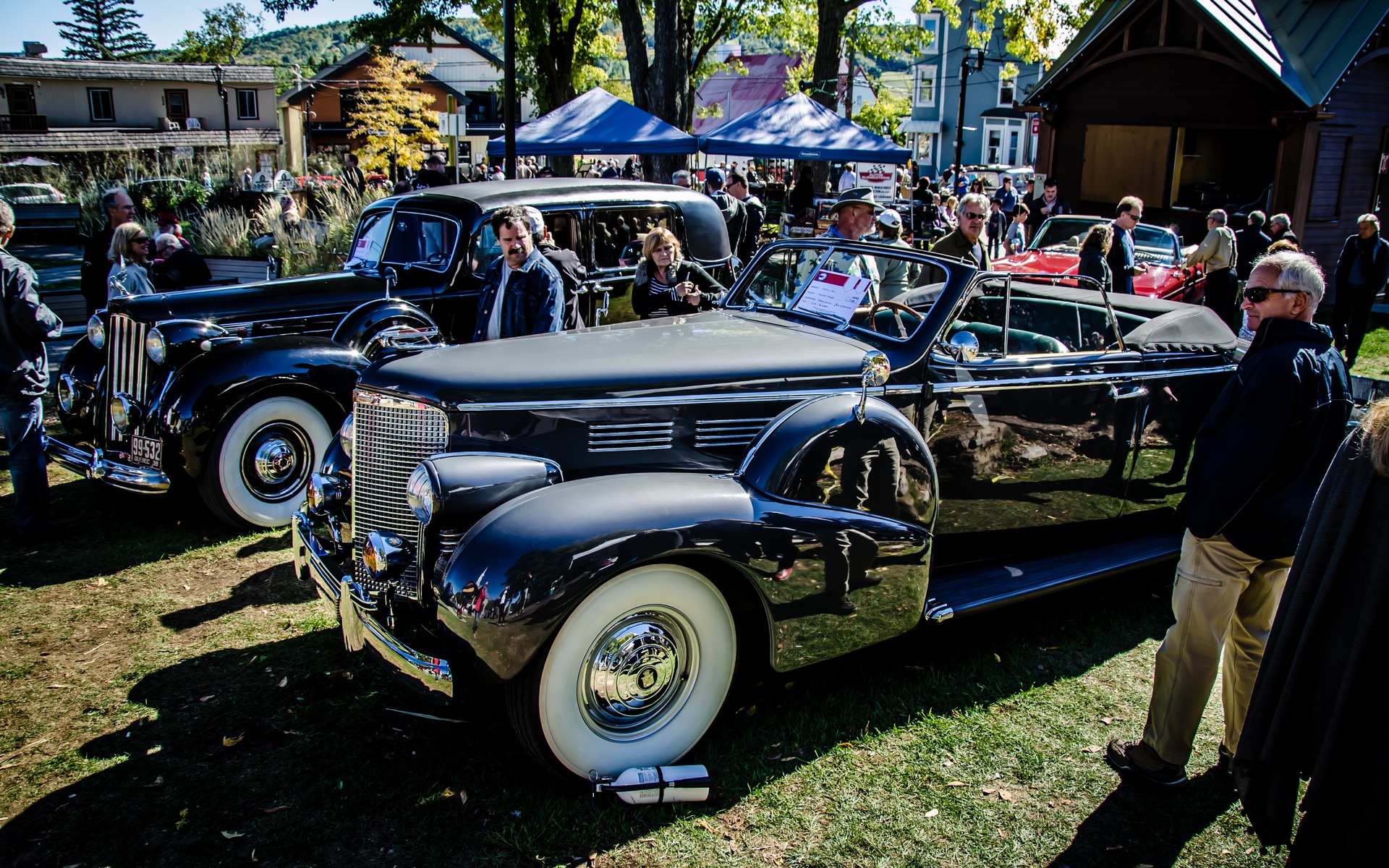 Photo: Laita Photography