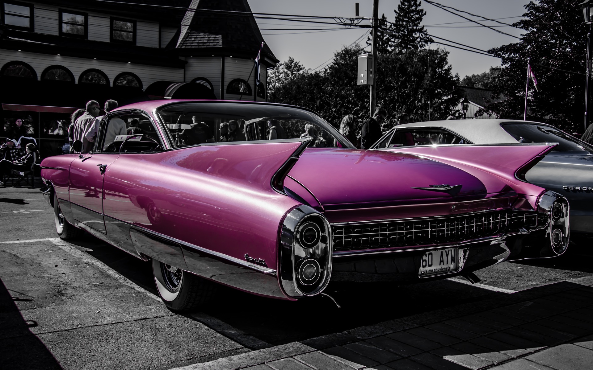 Photo: Laita Photography