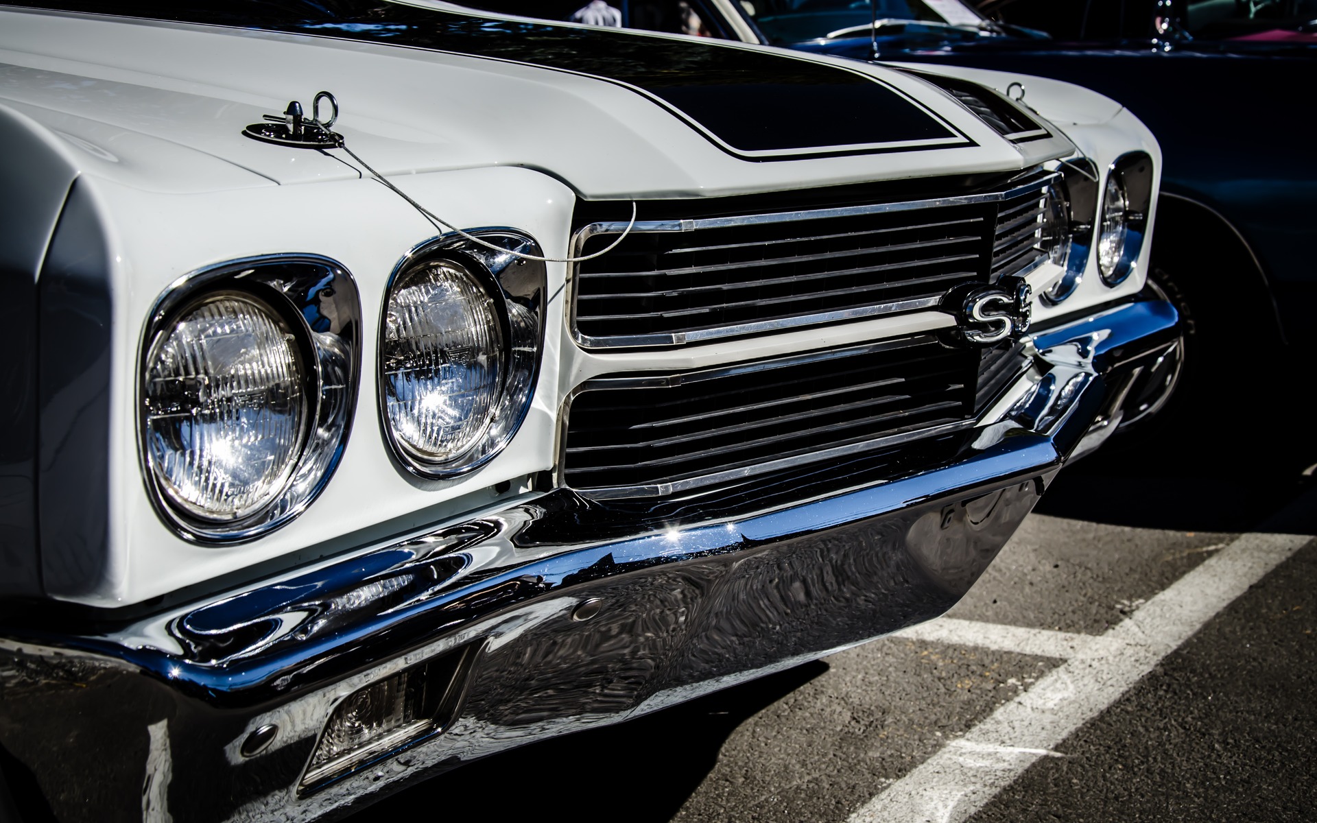 Photo: Laita Photography