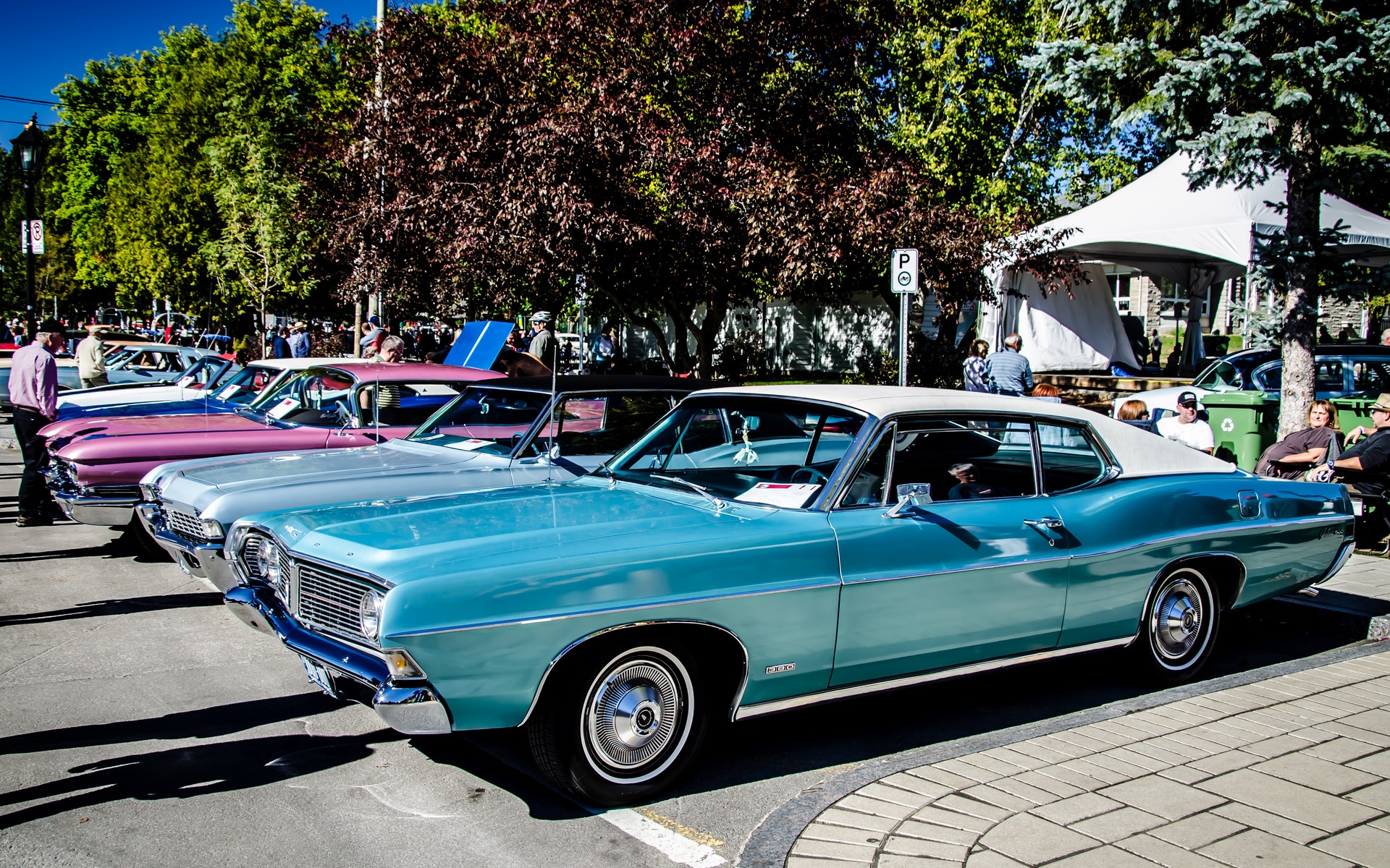 Photo: Laita Photography