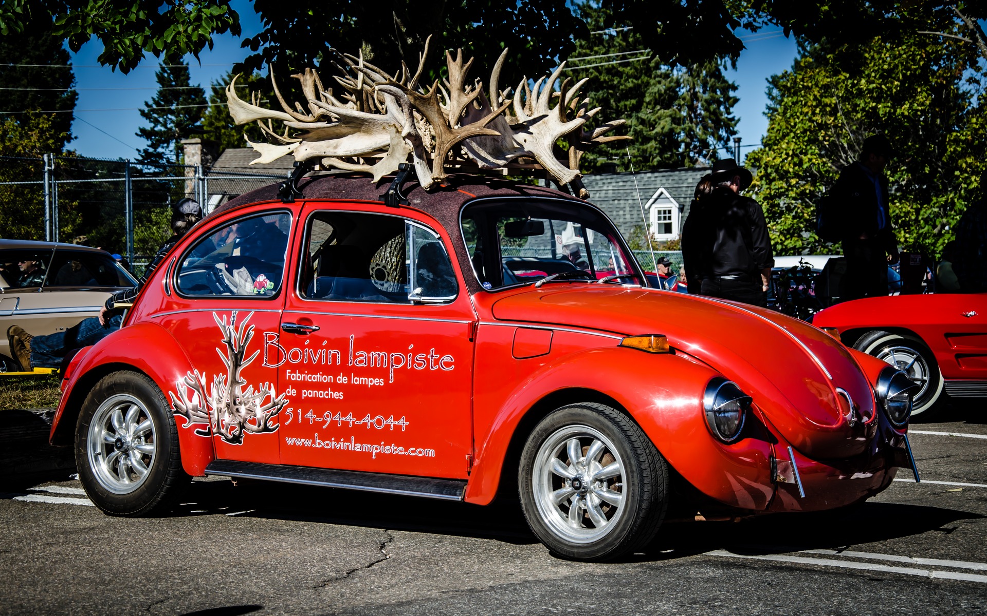 Photo: Laita Photography