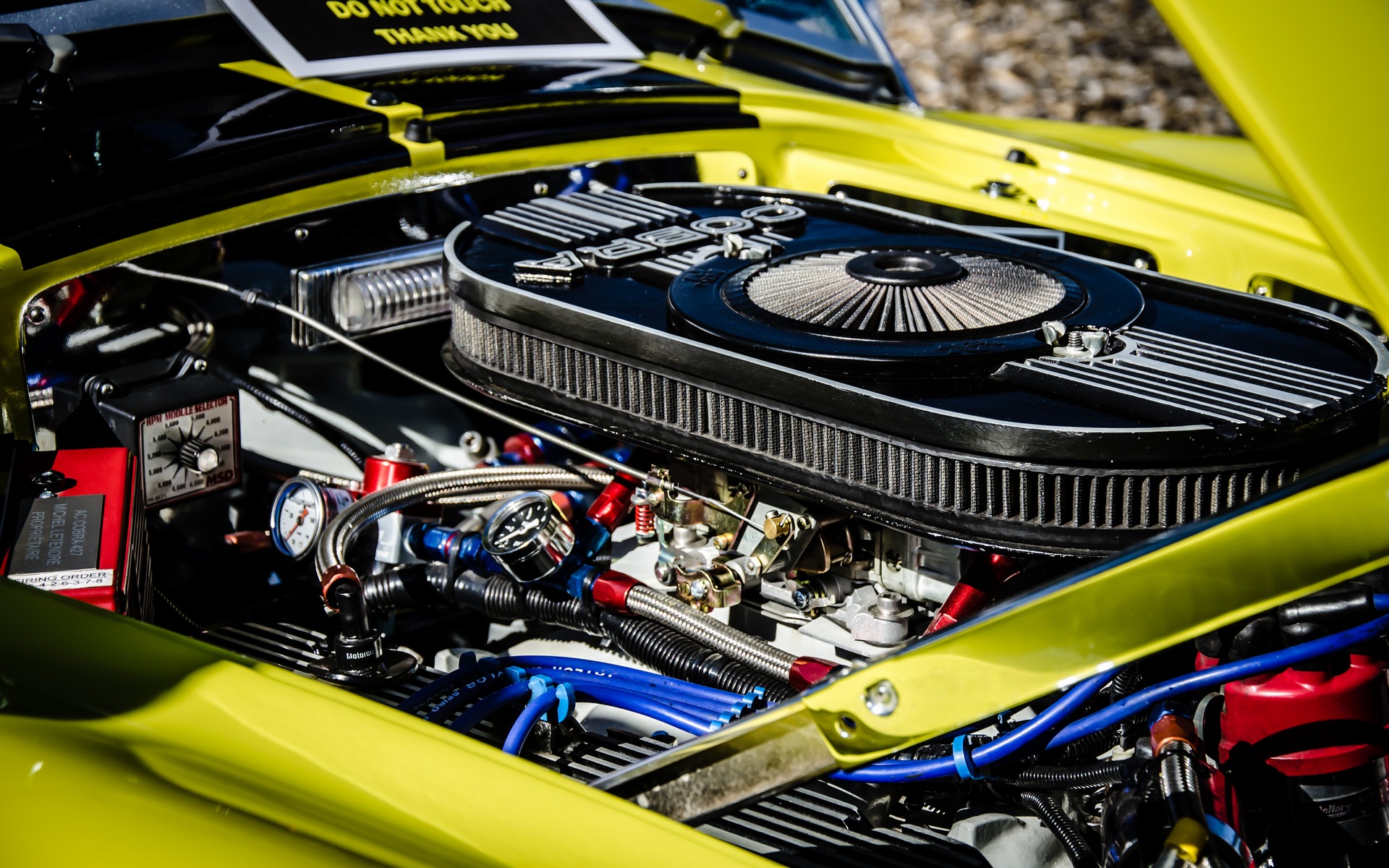 Photo: Laita Photography