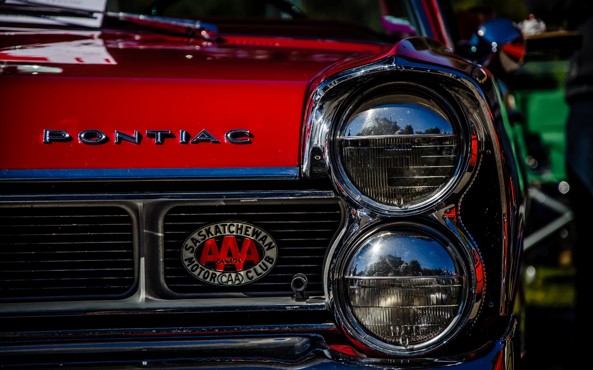 Photo: Laita Photography