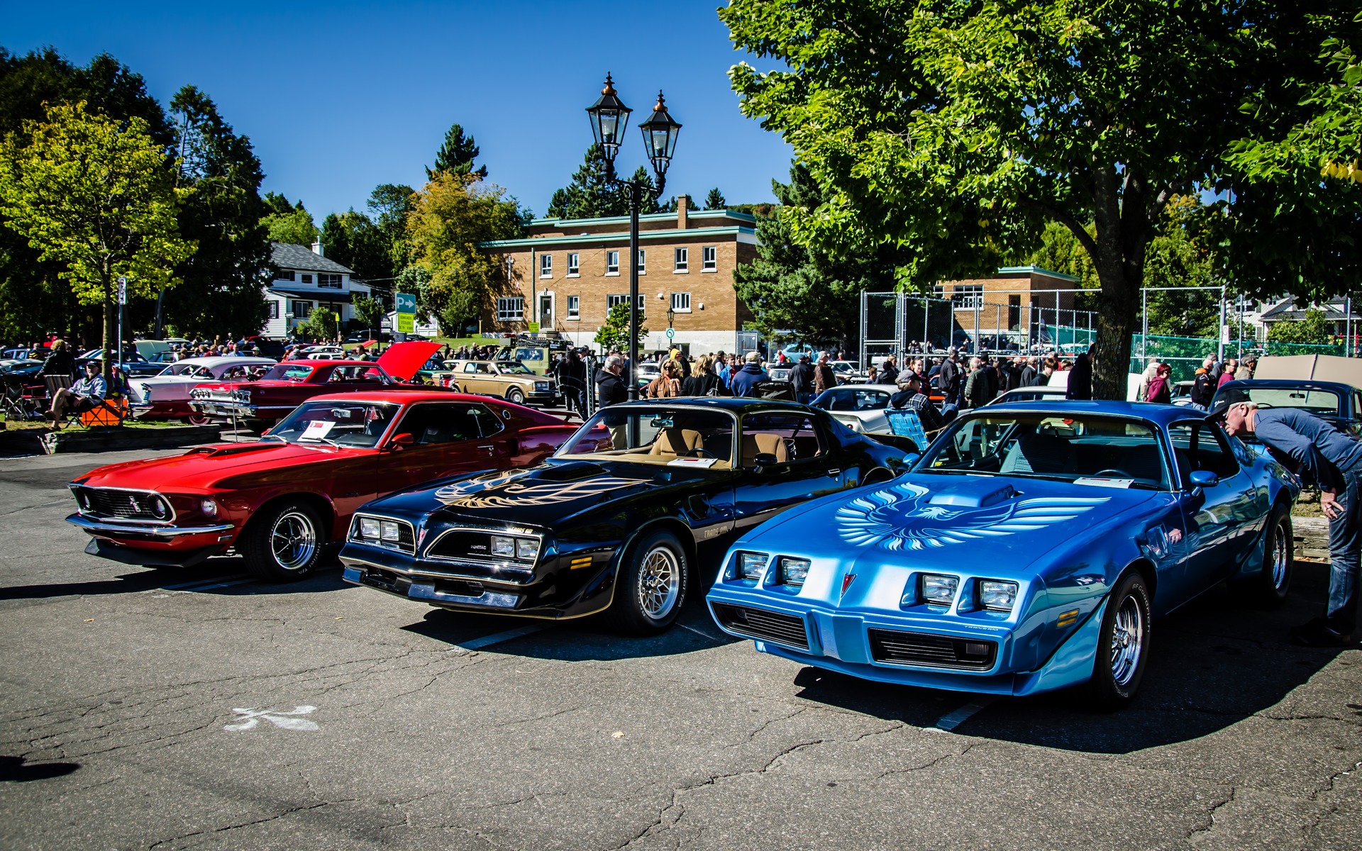 Photo: Laita Photography