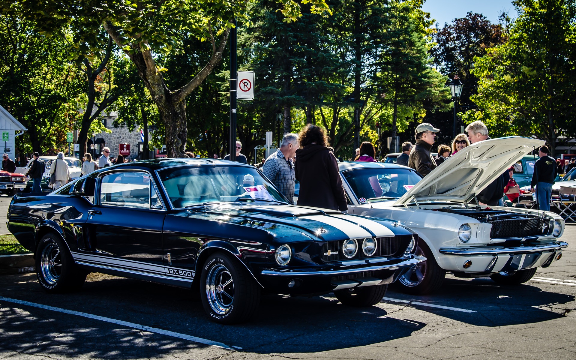 Photo: Laita Photography